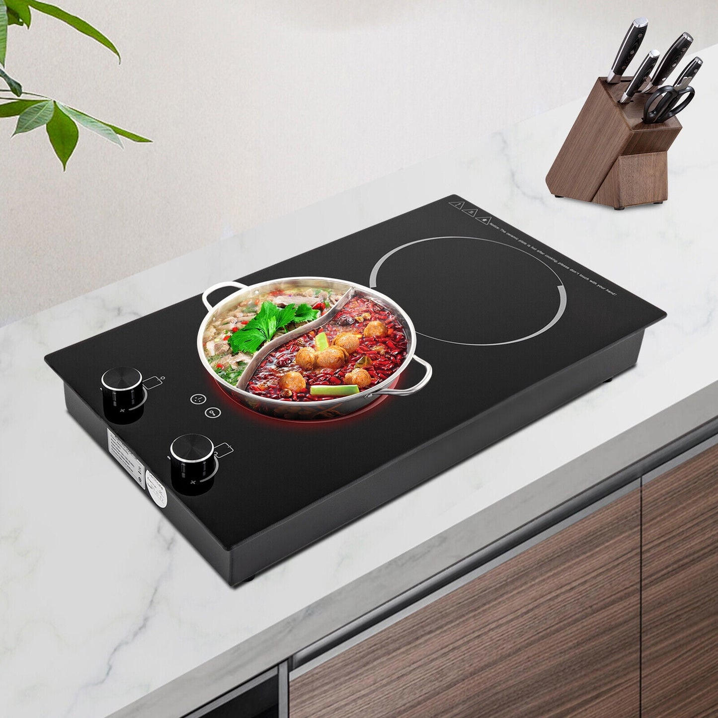 110V Electric Double Induction Cooktop 2-Burner Electric Induction Cooktop Stove Top Touch Control with Child Lock Black DT2W-1 1200W+900W